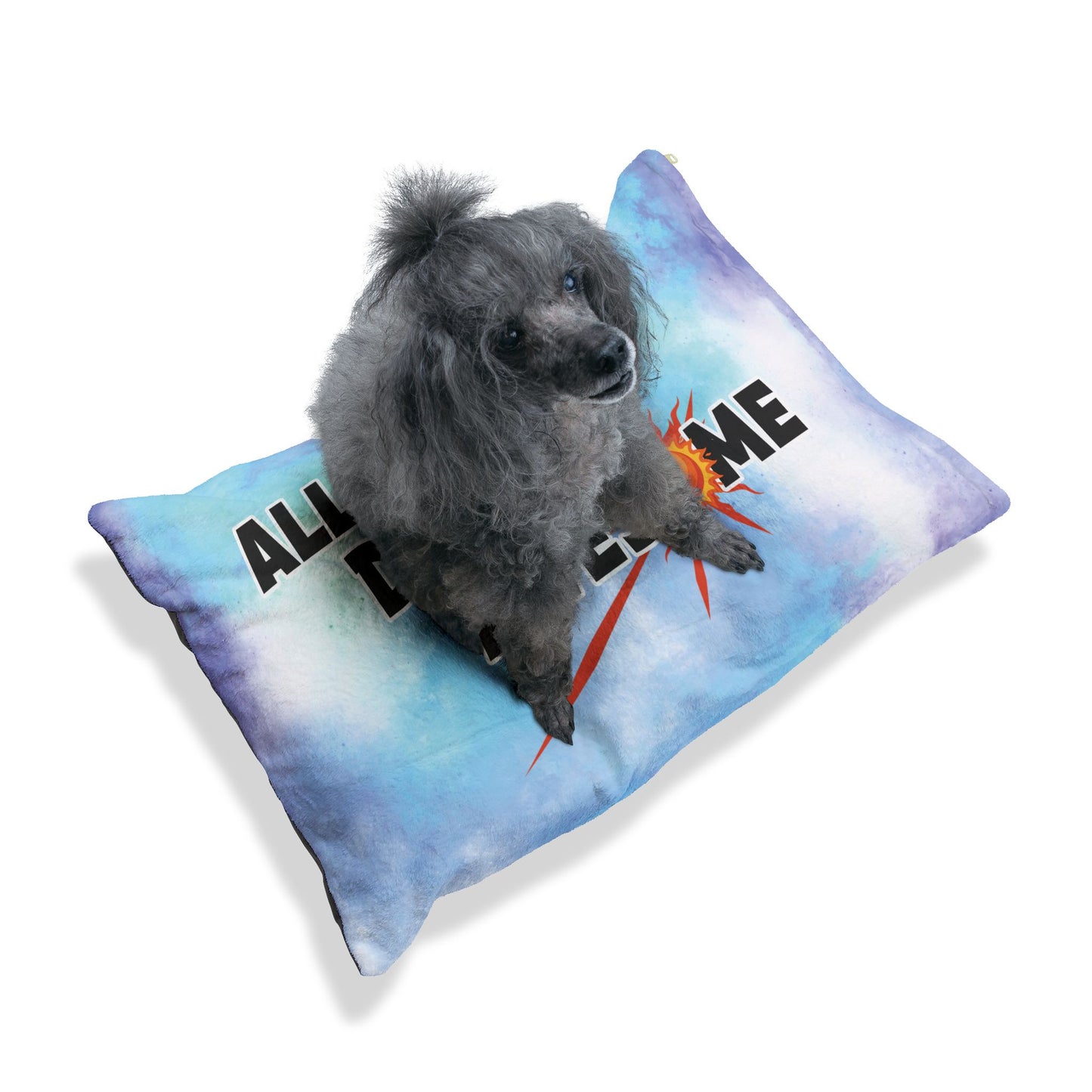 All Day Awesome Pet Bed